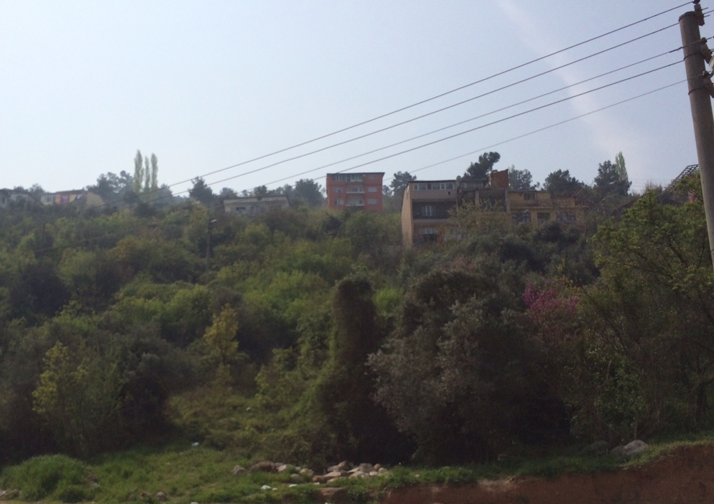 Çekirge Selvili Cadde Üstünde Satılık Daireler 