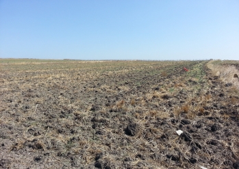 Özlüce'de 1500 m2 Villalık Arsa